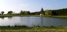 Terrain de loisirs aménagé avec étang