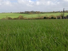 Terrains constructibles RESTE 2 LOTS Pouillé les Coteaux