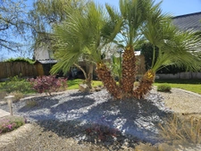 Maison bourg MESANGER 2ch 1suite parentale