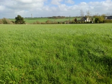 Terrains constructibles RESTE 2 LOTS Pouillé les Coteaux