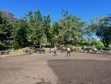 Immobilier professionnel à vendre - Réf GP - Vangrevelynghe - St Denis de la réunion Centre Equestre 97