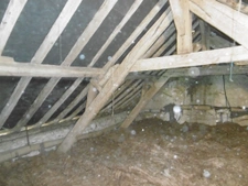 Maison 2 ch Plain-pied Campagne Sans vis à vis Dépendances 1