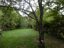 centre. maison 120 m2. 4 ch. 650 m2 de jardin avec accès riv