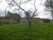 Maison 2 ch Plain-pied Campagne Sans vis à vis Dépendances 1