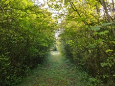 Maison ovale de plain-pied