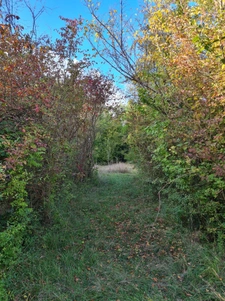 Maison ovale de plain-pied