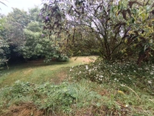 Maison sur 982m2 de terrain, Géothermie