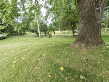 Propriété, gîte possible bord de rivière 2 ha de terrain