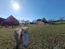 Maison campagne sans voisins