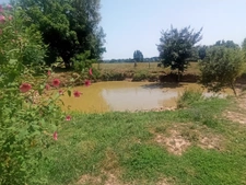 Longère, sans travaux, 6300 m2 de terrain