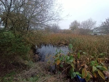 Fermette sur 3.5 ha de terrain, grande dépendances 