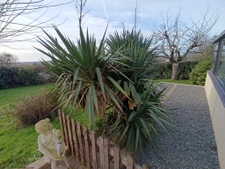 Maison 2 ch avec garage sans travaux