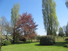 Maison de village, 5 chambres, pas de travaux