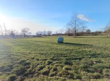 Propriété calme absolu sur près de 5 hectares de terres