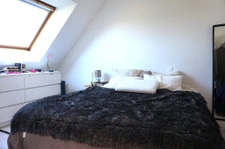 Maison de 2010, 3 chambres, terrain de 2650m2