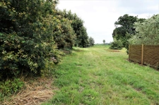 Maison de bourg, 130m2, à rénover. 