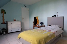 BELLE TRADITIONNELLE DE 2003 EN CAMPAGNE