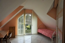 BELLE TRADITIONNELLE DE 2003 EN CAMPAGNE