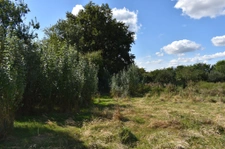 Fermette à restaurer