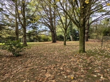 Une maison en harmonie avec la nature