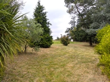 Château à fort potentiel + dépendances