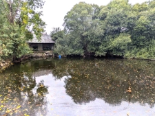 Château à fort potentiel + dépendances