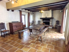 Château à fort potentiel + dépendances