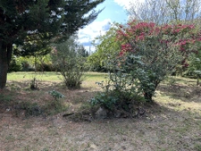 Terrain à bâtir de 478 m2 libre de constructeur