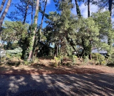 Terrain à vendre - Réf 86488713 40150 Soorts-Hossegor