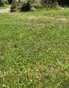 Terrain constructible et viabilisé de 380m2