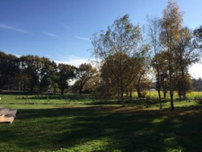 maison contemporaine avec extension bois