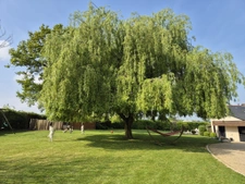 Maison en pierres rénovée 4 chambres piscine chauffée sur te