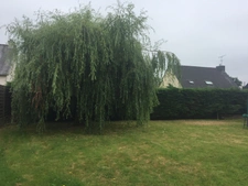 Maison contemporaine 4 chambres 