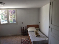 Maison + terrain 2 hectares en pierres