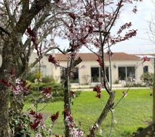 Châtelaillon centre, 212 m2 sur une parcelle de 1638m2