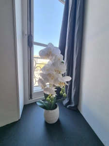 Appartement Hypercentre Nantes - 103 m2