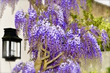 Maison de caractère quartier REPUBLIQUE