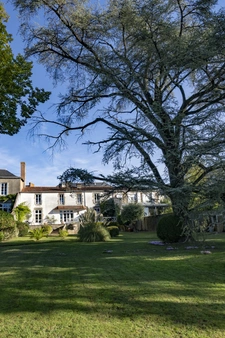 Hotel particulier en Hyper Centre ville