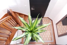  Maison de caractère Quartier République