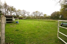 MAISON TRADITIONNELLE AVEC UN GRAND TERRAIN