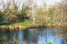 MAGNIFIQUE PROPRIETE EQUESTRE ,  PLEINE DE CHARME, 10 BOXS.5