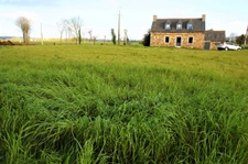 JOLIE MAISON EN PIERRE A RENOVER