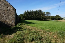 SUPERBE POTENTIEL POUR CETTE LONGERE 