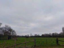 5HA et 1 maison à fort potentiel