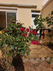 Maison de 3 chambres