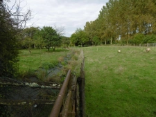 maison au calme avec 5 hectares. 5 ch. 700 m2 de dépendances