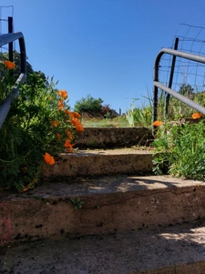 maison de plain pied