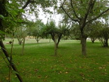 maison au calme avec 5 hectares. 5 ch. 700 m2 de dépendances