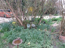 Maison familiale 5 chambres