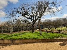 maison avec du potentiel